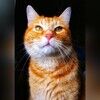 coolcatjewelry